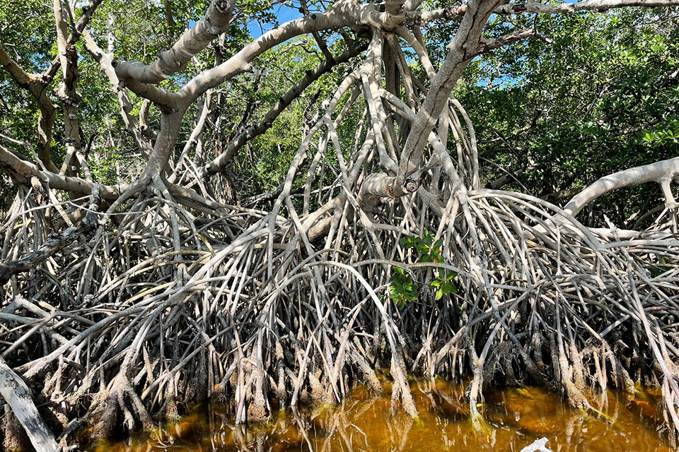 Nele im Übertragungswagen vor Bildschirmen
