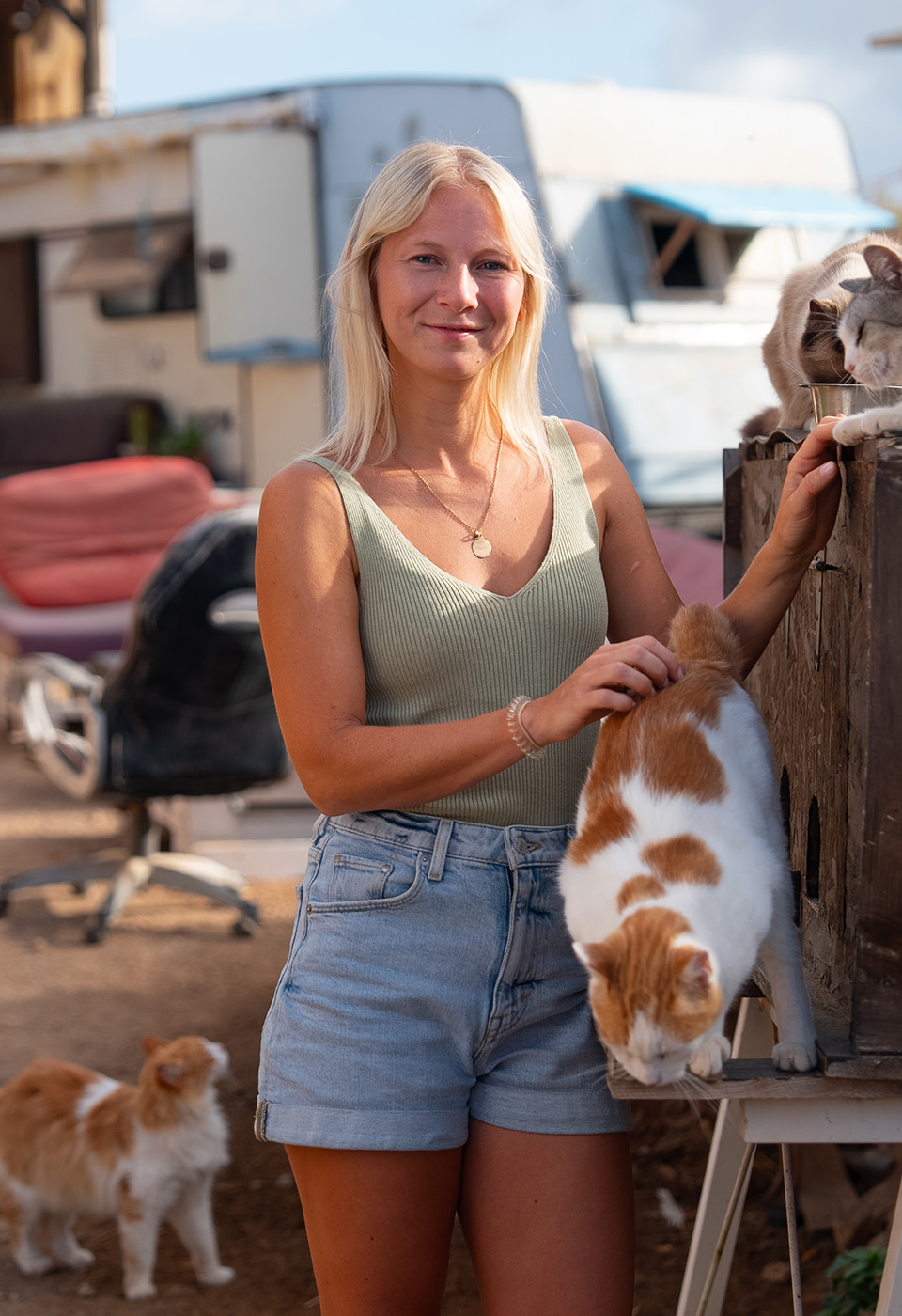 Bild aus Folge 5: Chelseas Traum: Tiere retten auf Teneriffa.